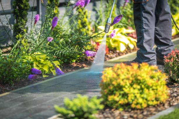 Reliable Fairforest, SC Pressure Washing Solutions